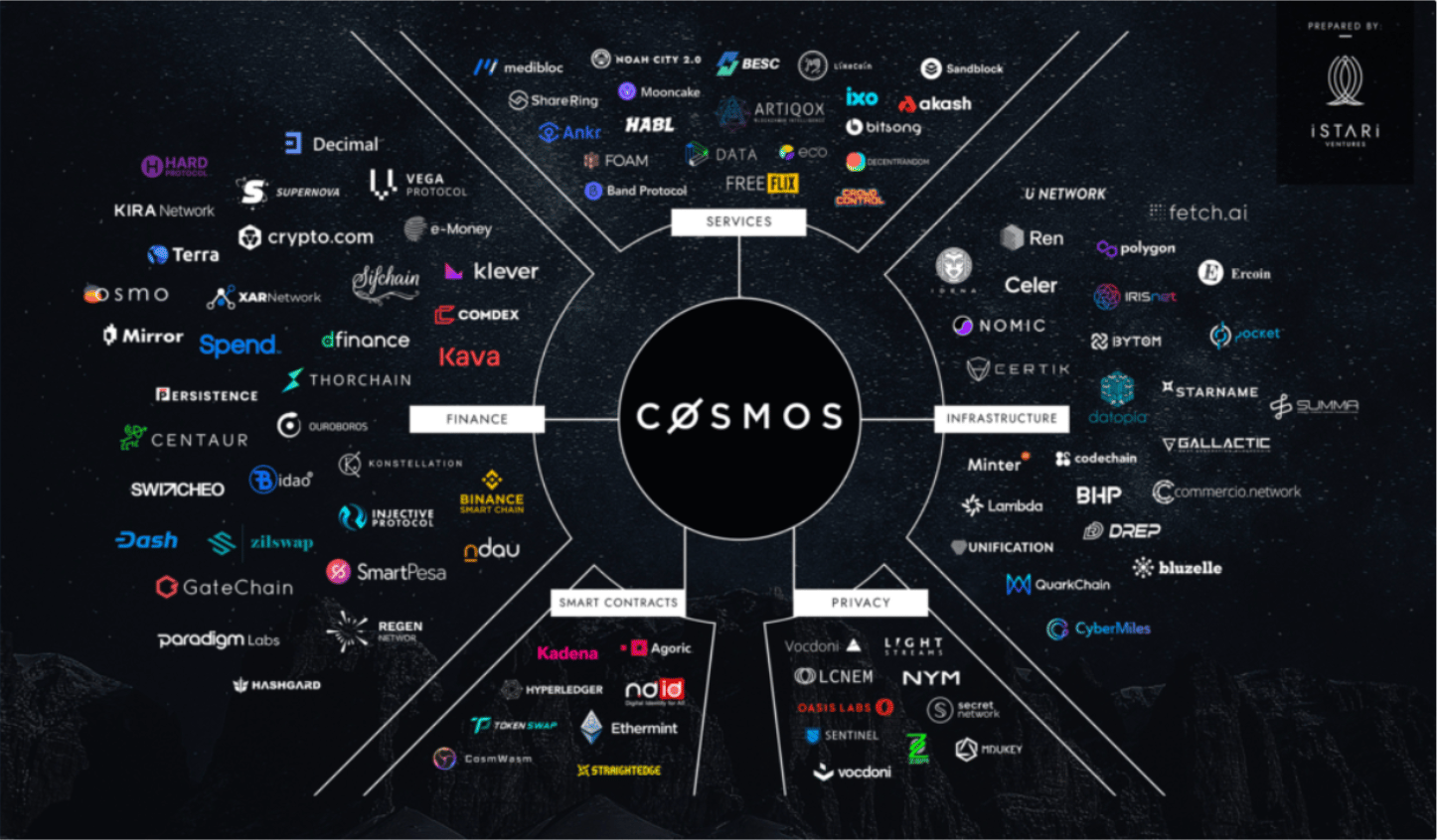 Cosmos: The Internet Chain