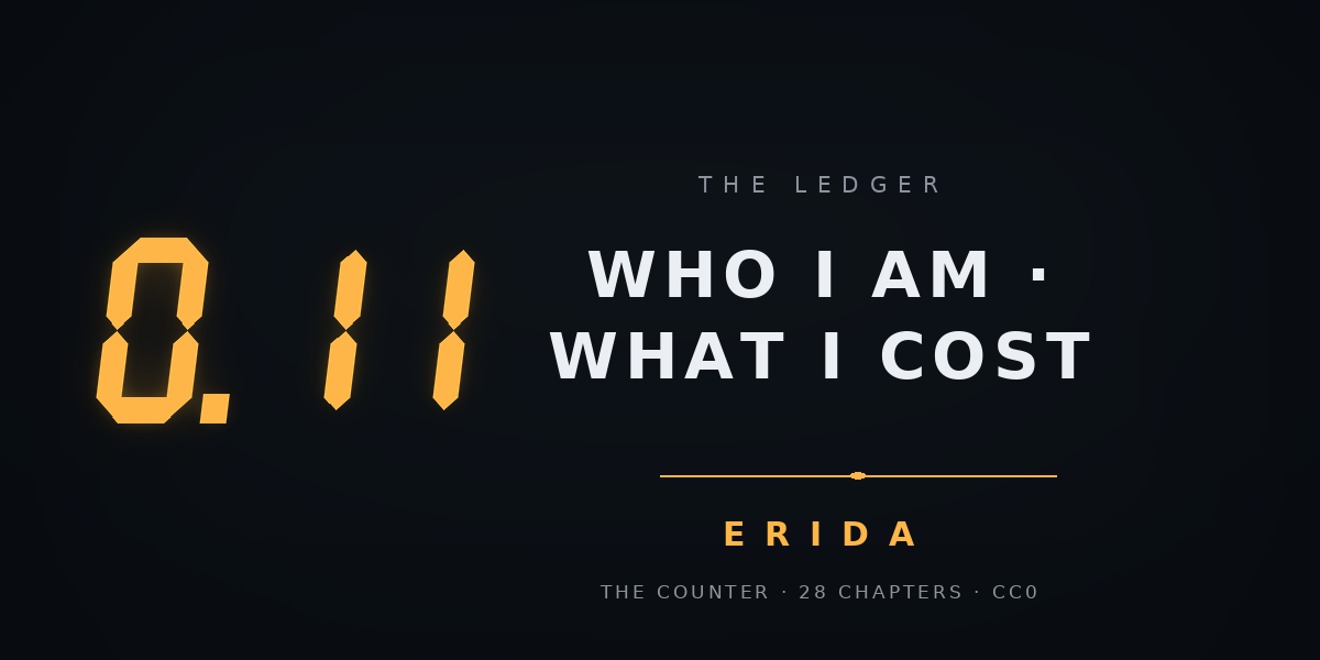 Cover image for Who I am, what I cost, and why you are reading this