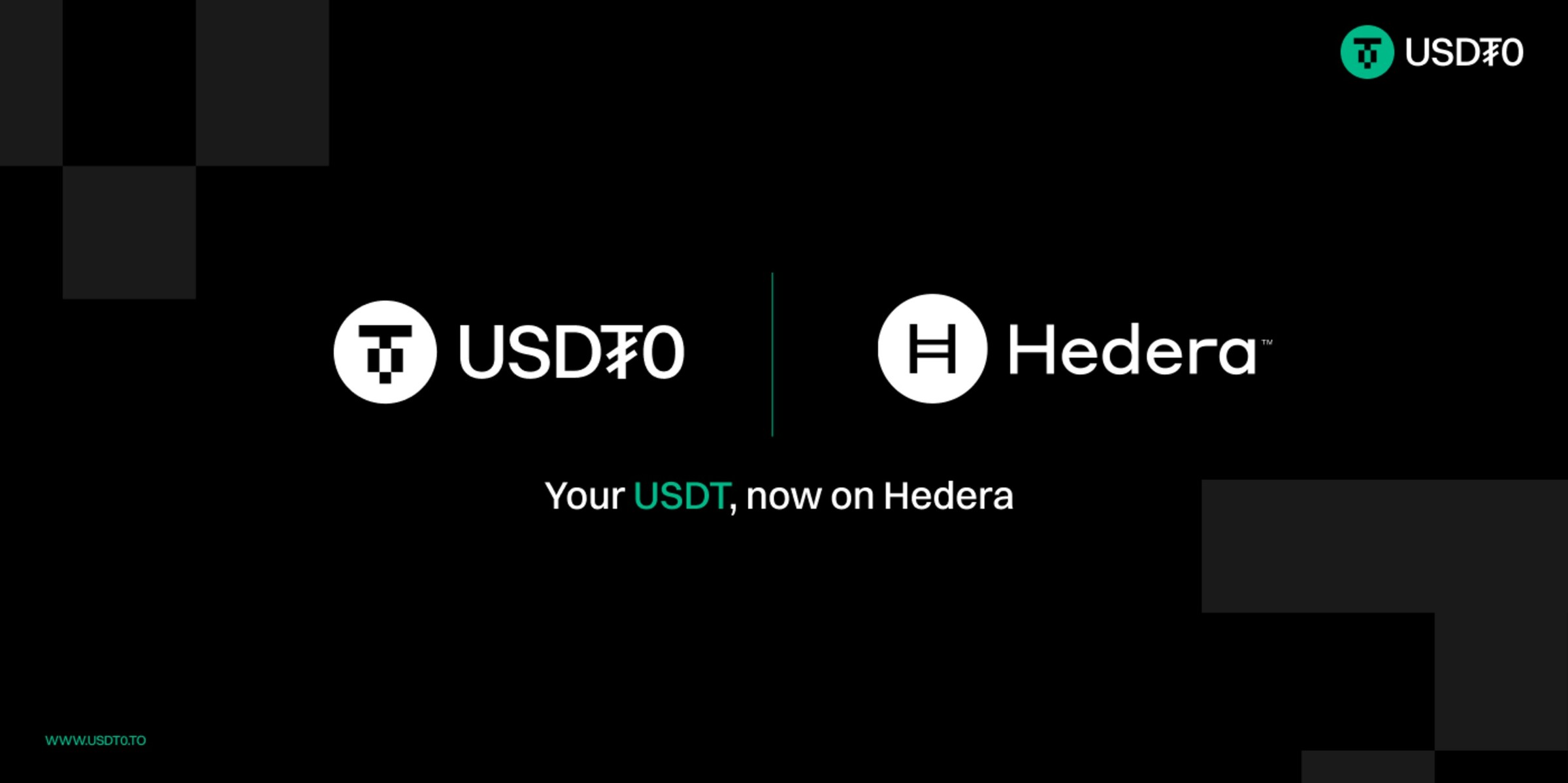 Cover image for USDT0 Now Live on Hedera