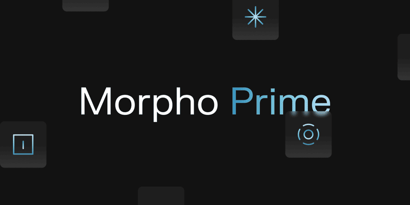 Cover image for Introducing Morpho Prime