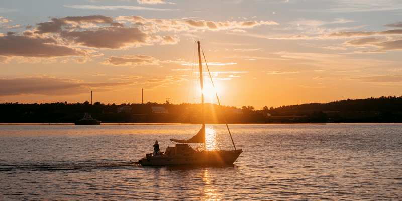 Cover image for The Sunset of X2Y2