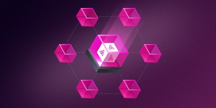 Cover image for Taiko DAO is Live on Mainnet!
