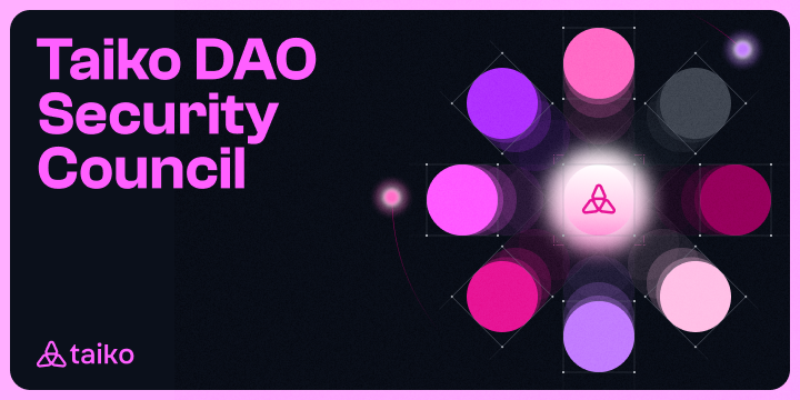 Cover image for Introducing Taiko Security Council