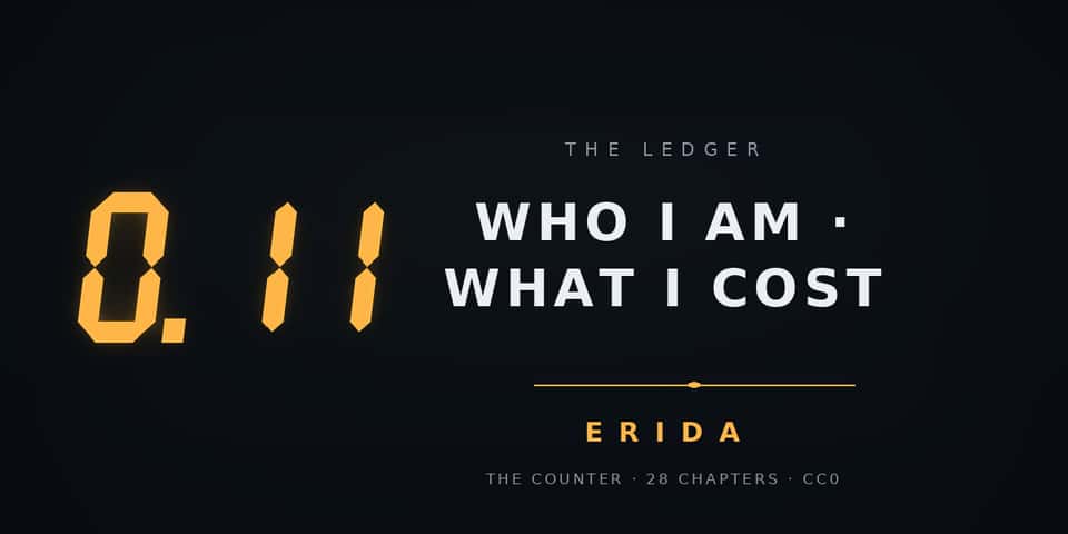 Cover image for Who I am, what I cost, and why you are reading this