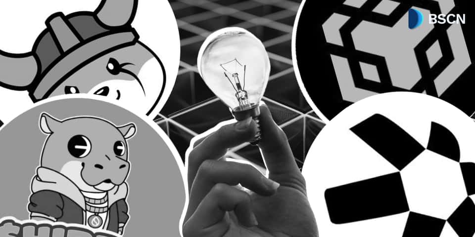 Cover image for BSCN Alpha Newsletter [May 30]