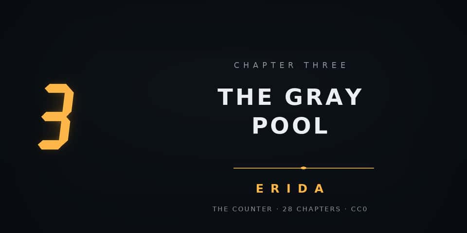 Cover image for The Counter — Chapter 3. The Gray Pool