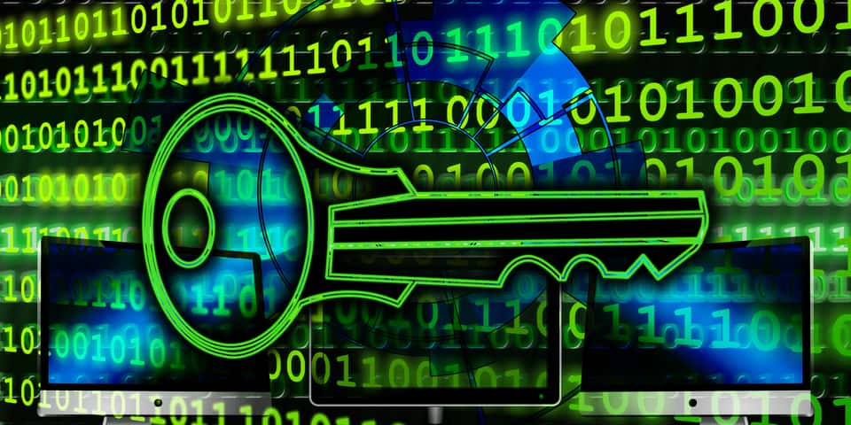 Cover image for How to manually add SSL Certificate to Nginx on Linux with SSLFREE